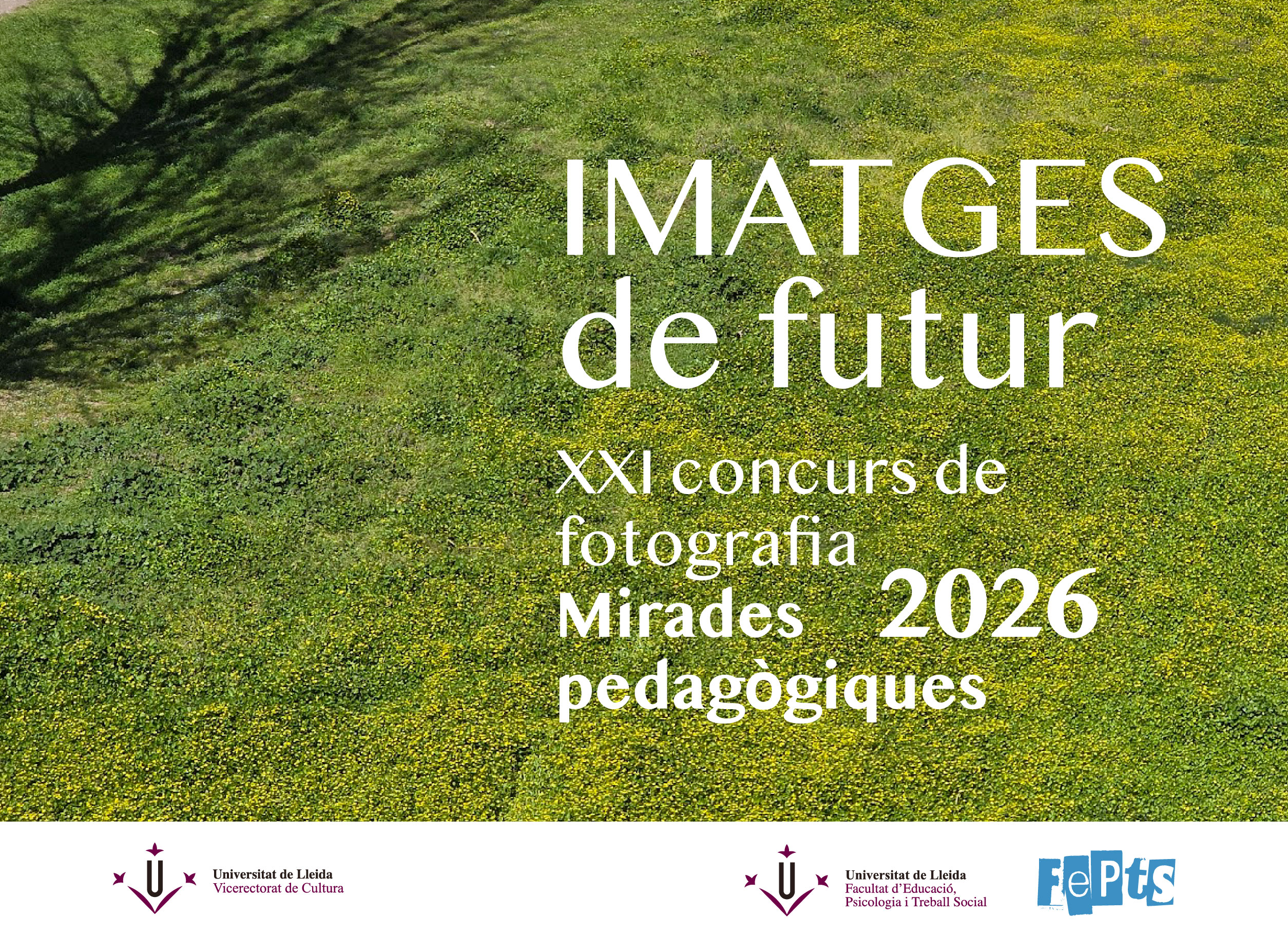 IMATGE2026