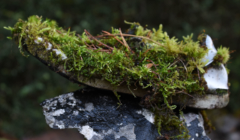 Aneto_banner